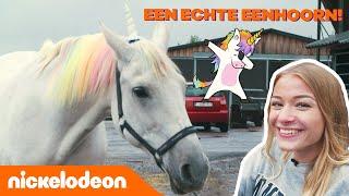  De ECHTE EENHOORN van team Morgane!  | De Viral Fabriek | Nickelodeon Nederlands