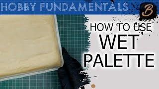 HOW TO MAKE AND USE A WET PALETTE: A Step-By-Step Guide