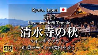 Kyoto, Japan "Kiyomizu-dera Temple" | Autumn Leaves Walking Tour [4K]