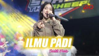 ILMU PADI DINDA TERATU - SHAUN THE SHEEP - HAPPY PARTY LAPAS COMMUNITY - GABUS PATI