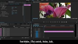 Easy Steps to Create StopMotion in Adobe Premiere Pro CC