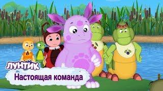 Настоящая команда  Лунтик  Сборник мультфильмов для детей