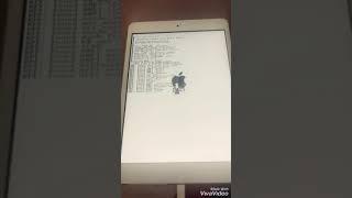 Sblocco iCloud iPad mini 2 Wi-Fi checkra1n icloud Bypass