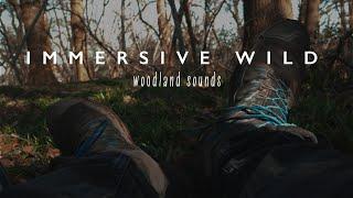 Relaxing Binaural Nature Sounds | Woodland Filmmaking ASMR (Immersive Wild #1)