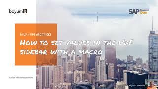 B1UP Tip: How to set values in the UDF sidebar with a macro