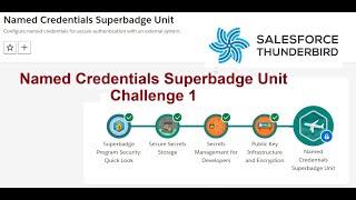 Named Credentials Superbadge Unit | Challenge 1