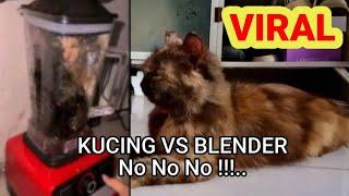 cat in blender || cat in blender viral || cat videos on blnder || GEMOY AND THEIR CHILDREN#cat