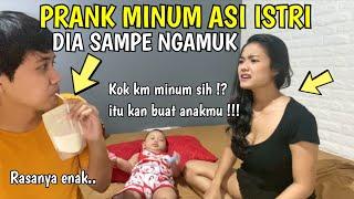 PRANK MINUM ASI ISTRI, DIA SAMPE NGAMUK  TERNYATA RASANYA GINI...