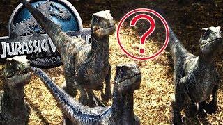 Esquadrão Raptor (Blue Charlie Delta e Echo) Quinto Raptor | Arquivos Secretos (#3) | Jurassic World