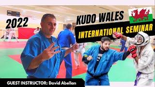 Kudo UK: Wales International Seminar with Senpai David Abellan (Spanish International)