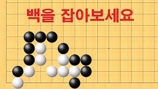 바둑 묘수 사활 - 치명적인 묘수가 나옵니다. 백을 잡아보세요