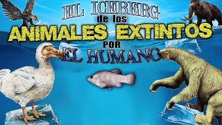 EL ICEBERG de los ANIMALES EXTINTOS por EL HUMANO