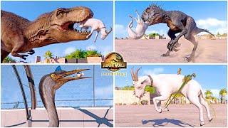 Goat Hunting Animations of All Dinosaurs & Flying Reptiles in San Marie  Jurassic World Evolution 2
