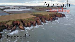 The Cod Capital Of The Country- Bait Fishing, Arbroath