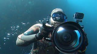 $10,000 Camera VS $100 Camera, Comparison Underwater. How much do you need to spend?