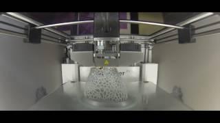 Female Body 3D Print GoPro Timelaps