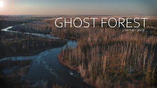 4 Day Canoe Camp Through the Haunting Deadlands