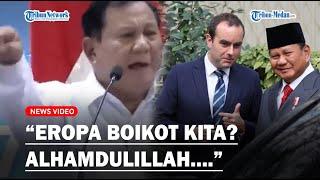 LANTANG, Prabowo Bodo Amat Kebijakan Eropa Boikot Kelapa Sawit Indonesia Alhamdulillah