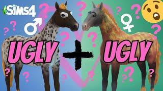 Breeding out the UGLY (HORSE VERSION) / The SIMS 4: Horse Ranch