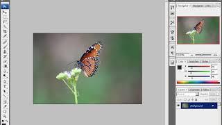 01. Photoshop CS3 - Introduction to the Workspace (සිංහලෙන්)