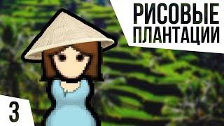 РИСОВЫЕ ПЛАНТАЦИИ! ОДИН В ДЖУНГЛЯХ БЕЗ ВСЕГО | #3 Rimworld 1.0 Кошмар