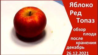 Яблоко Ред топаз обзор плода после хранения 26,12,2021