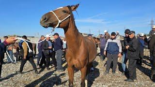 Ат базар чөп базар экоун басын билип алсаңыз болот