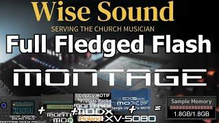 Full Fledged Flash (MONTAGE & MODX+) by Wise Sound - Overview Video