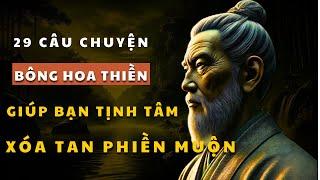 29 Câu Chuyện Bông Hoa Thiền Nghe Xong Giúp Bạn Tịnh Tâm Xóa Tan Phiền Muộn Ưu Tư!