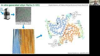 LBEM – Prof  Henning Stahlberg