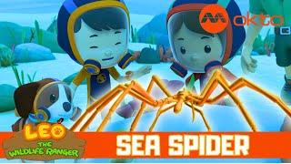 What's wrong with this Underwater Spider?️ | Leo the Wildlife Ranger Spinoff S5E17 | @mediacorpokto