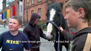 Dublin Horse Fair (Ireland, 2010)