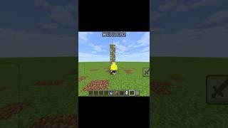 Minecraft Invisible Lift Tik Tok Hack #youtubeshorts #shorts #minecraft