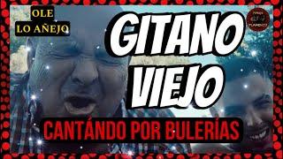 GITANO VIEJO CANTÁNDO POR BULERÍAS | FLAMENCO PURO | CANTE AÑEJO | ARTE FLAMENCO | FLAMENCO SPAIN