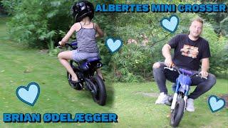 BRIAN ØDELÆGGER ALBERTES MINI CROSSER | HVERDAGSVLOG