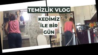 Temizlik yapıldı/Kedi ile bir gün/biber dolması yaptım#yemektarifleri #günlükvlog #temizlikvlog#vlog