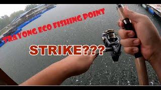 TRAYONG ECO FISHING POINT Ko-Nelayan, Tuaran - Fishing Guide