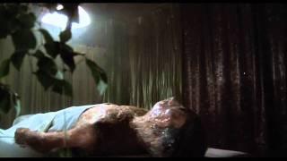 Invasion of the Body Snatchers (1978) Pod Body Opens Its Eyes