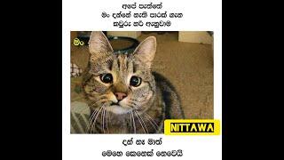 Fb funny post | Sinhala joke post 26 / Nittawa