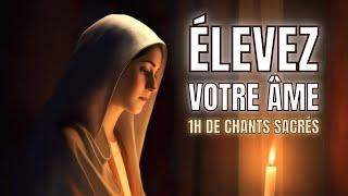  Chants Célestes et Prières Unies : Ambiance Catholique Envoûtante | Musique d'Église Inspirante