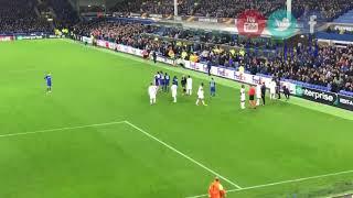 Everton fans punching Lyon players after Ashley Williams fight   Everton   Lyon 19 10 2017