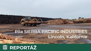 Pila společnosti SIERRA PACIFIC INDUSTRIES v Lincolnu v Kalifornii