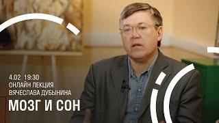 Вячеслав Дубынин. Мозг и сон