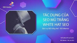 SEO mũ trắng có tác dụng như thế nào đối với website?