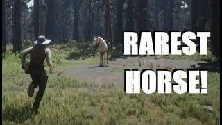 How to Unlock the BEST HORSE and Burial at Sea in Red Dead Redemption 2!