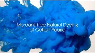 Mordant-free Natural Dyeing of Cotton Fabric