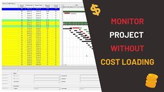 Monitor the project without cost or Resource loading