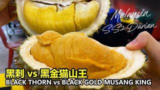 Black thorn vs Black Gold Durian, Malaysia SS2 Durian market ! 黑刺vs黑金猫山王榴莲，马来西亚SS2榴莲市场