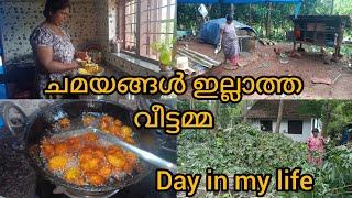 പൊക്കവട റെസിപി/ചമയങ്ങൾ ഇല്ലാത്ത വീട്ടമ്മയുടെ വീട്ടുകാര്യങ്ങൾ/day in my life/daily vlog/divya'skitche
