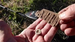 Metal Detecting Victorian Relics (In Victoria). Garrett AT Max International.